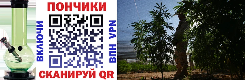 Канабис план  как найти закладки  Опочка 